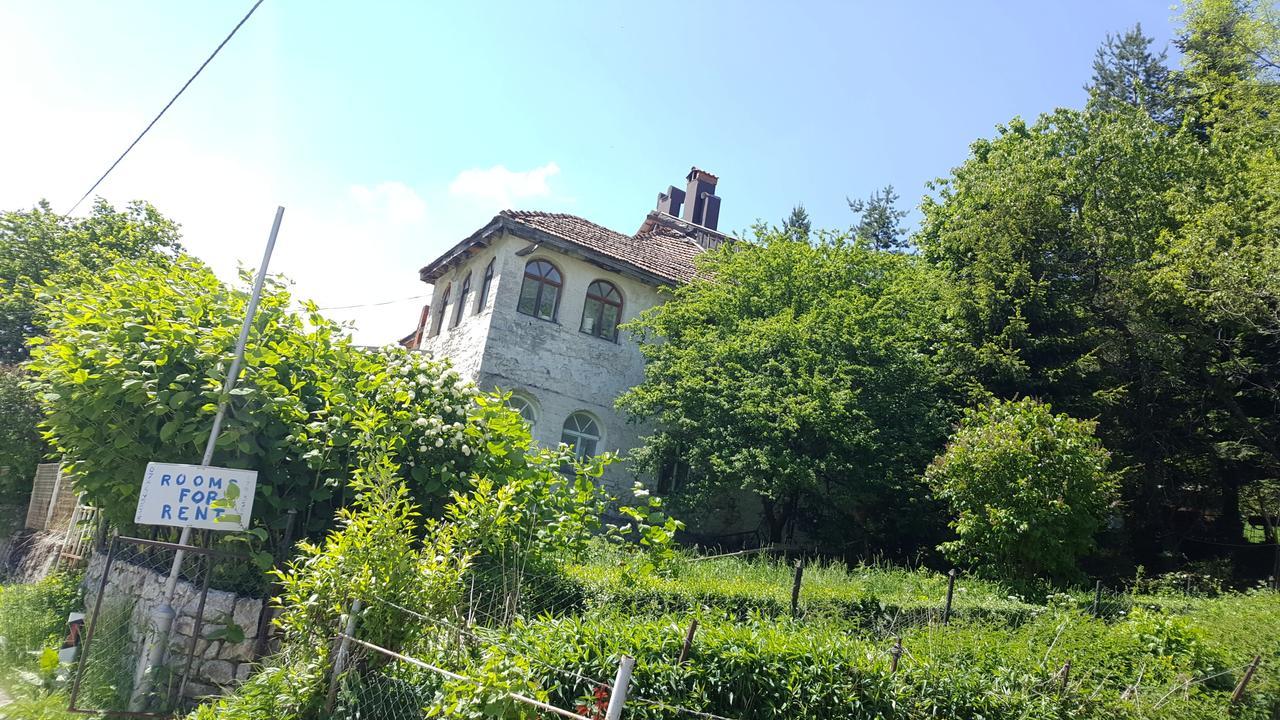 Pandora Villa Mavrovo Ngoại thất bức ảnh