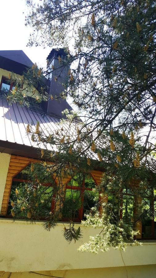 Pandora Villa Mavrovo Ngoại thất bức ảnh